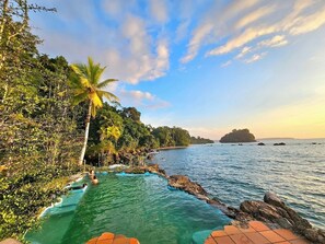 A clear view of a swimming pool with a rocky edge, surrounded by lush greenery and a palm tree. -  HOTEL PIEDRA PIEDRA LODGE (Nuquí)
