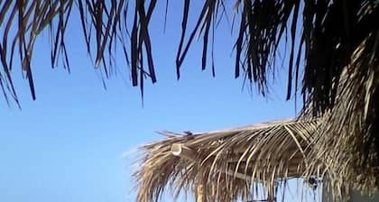 Las Tortuguitas Bungalows