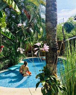 Ein Pool, umgeben von üppiger tropischer Vegetation, darunter Palmen und Bananenstauden.
