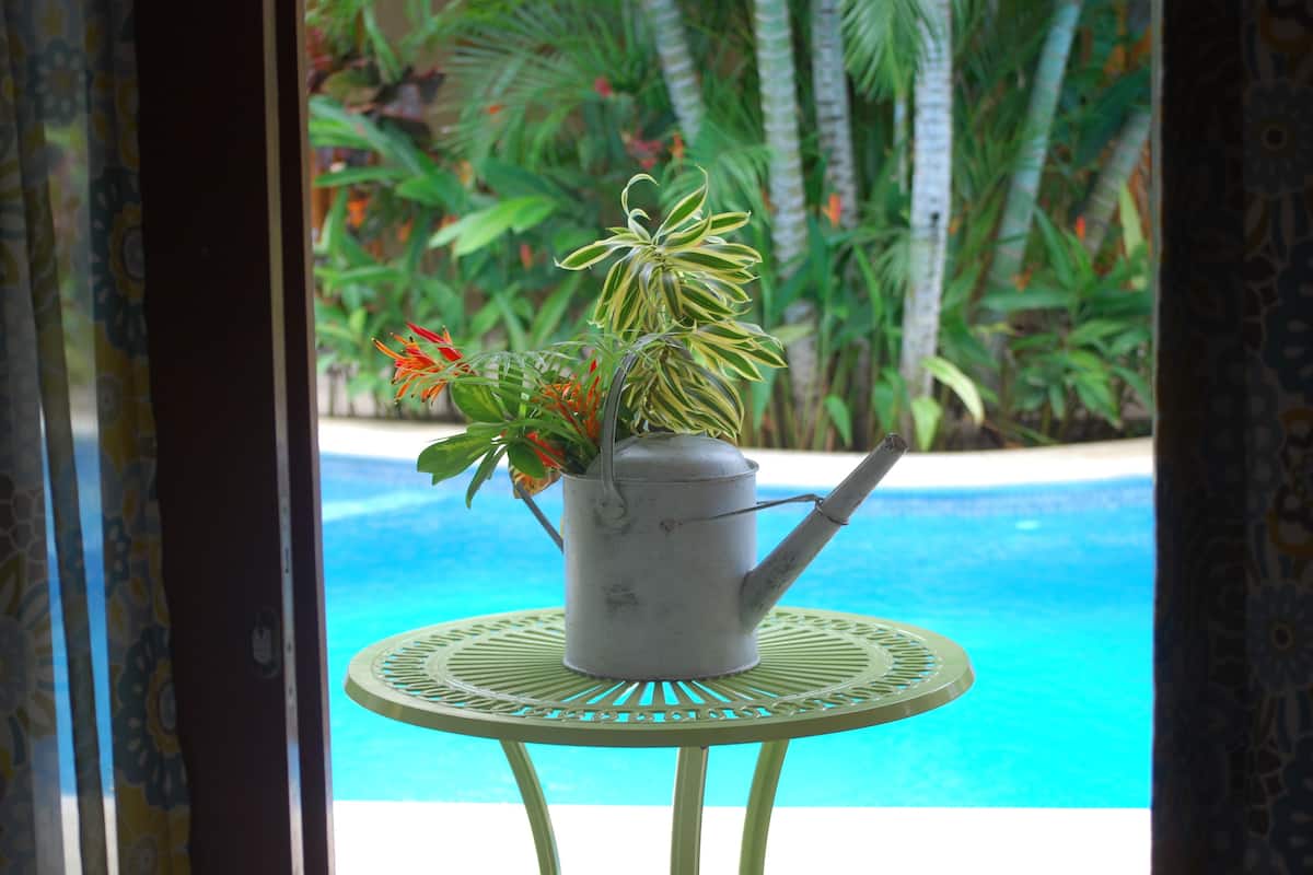 View from room