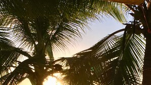 Un hamac sous un palmier, sur une plage, avec le soleil couchant à l’horizon.