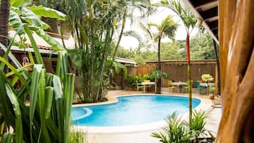 Una piscina circondata da piante tropicali e un pontile in legno.