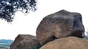 Large rocks in a garden setting with some greenery and mulch.