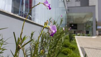 A modern building with a glass facade and a landscaped garden with purple flowers.