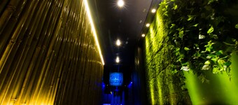 Hotel Mittal Paradise