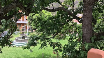 Vista desde la propiedad