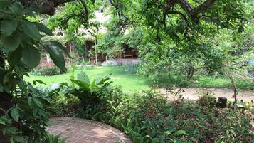 Un jardín exuberante con un sendero de ladrillo, follaje verde y una estructura de madera al fondo.