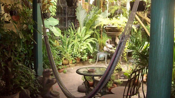 A lush garden with a variety of plants and a small table with chairs.