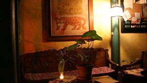 A cozy room with a wooden sofa, a table with a candle, and a potted plant.