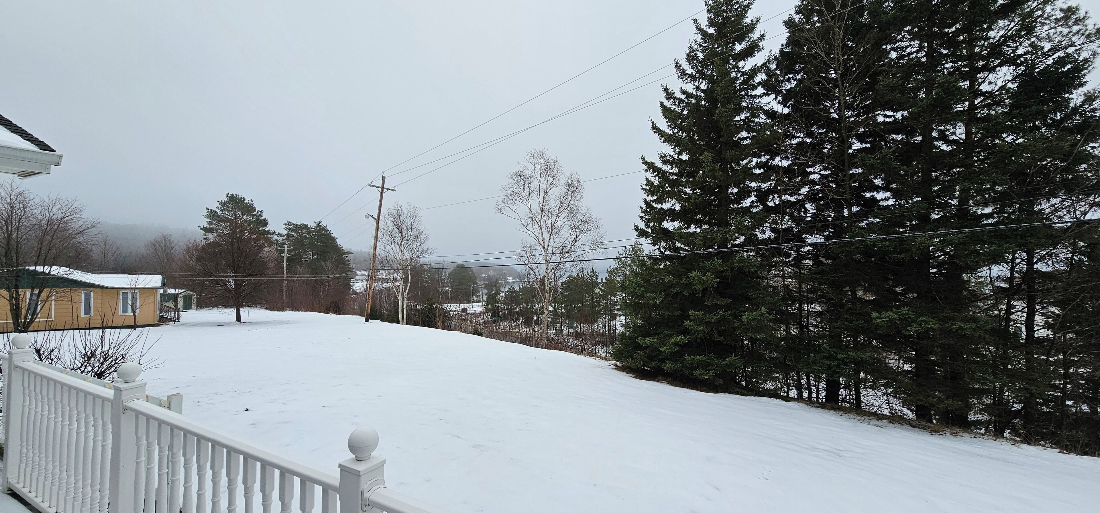 A residential area with a snow-covered yard, a white fence, and a row of evergreen trees.