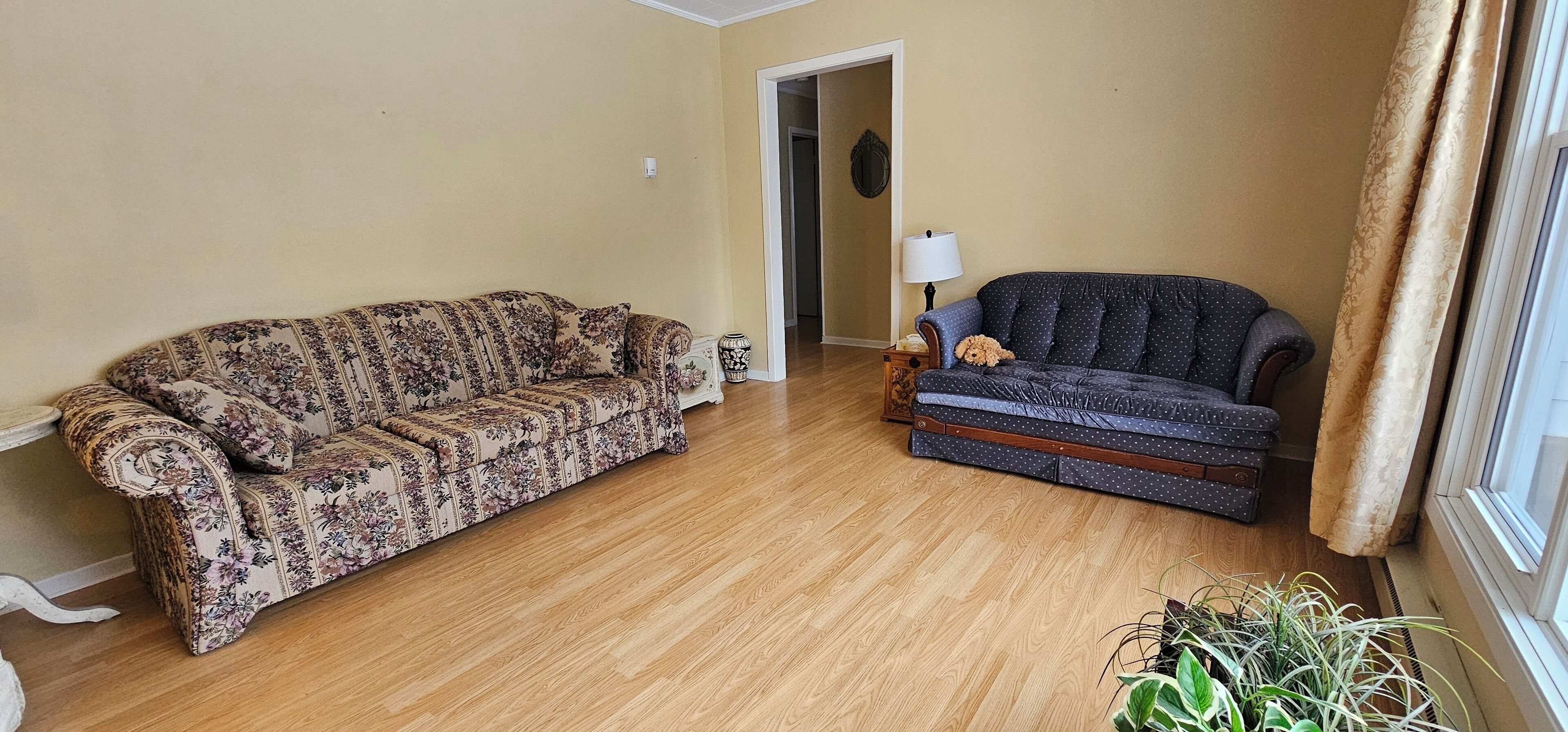 A living room with two sofas, a lamp, and a small dog.