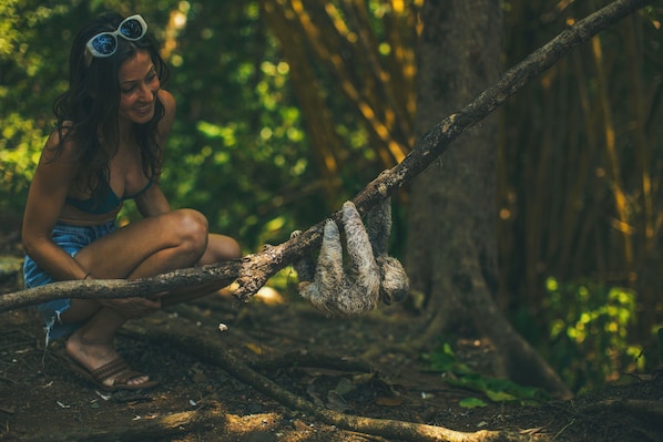 A person sitting on a tree branch in a forested area.
