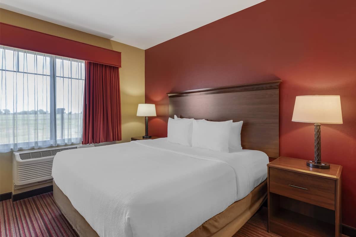 Suite, 1 trÚs grand lit, non-fumeurs, réfrigérateur et four à micro-ondes (Shower Only;with Sofabed) | Surmatelas, bureau, fer et planche à repasser, Wi-Fi gratuit
