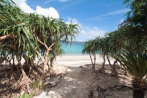 A sandy beach with palm trees and a clear blue sky.