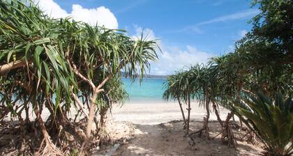 Native Sea Amami Adan On The Beach
