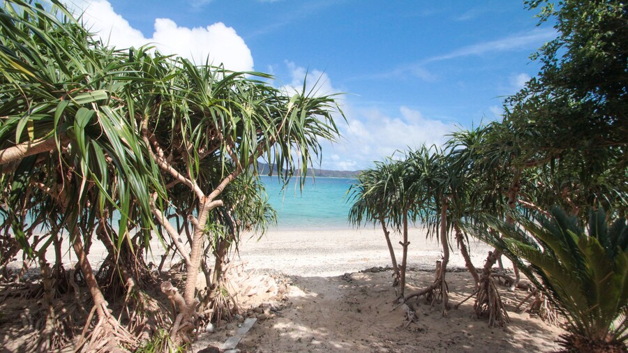Native Sea Amami Adan On The Beach