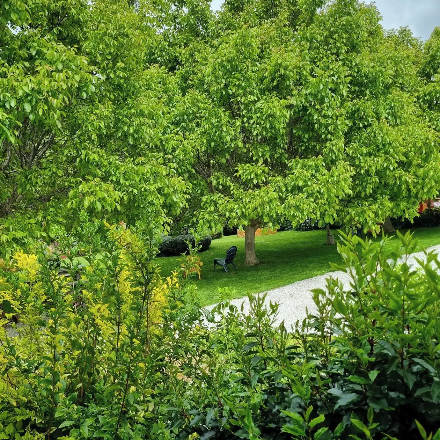 Executive-Ferienhaus | Blick auf den Garten