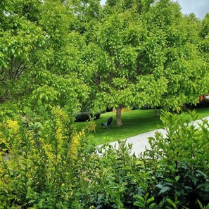 Casa de campo ejecutiva | Vistas al jardín