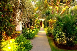 Un sendero bordeado por exuberante vegetación tropical y una estructura de pérgola de madera.