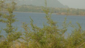 Lac