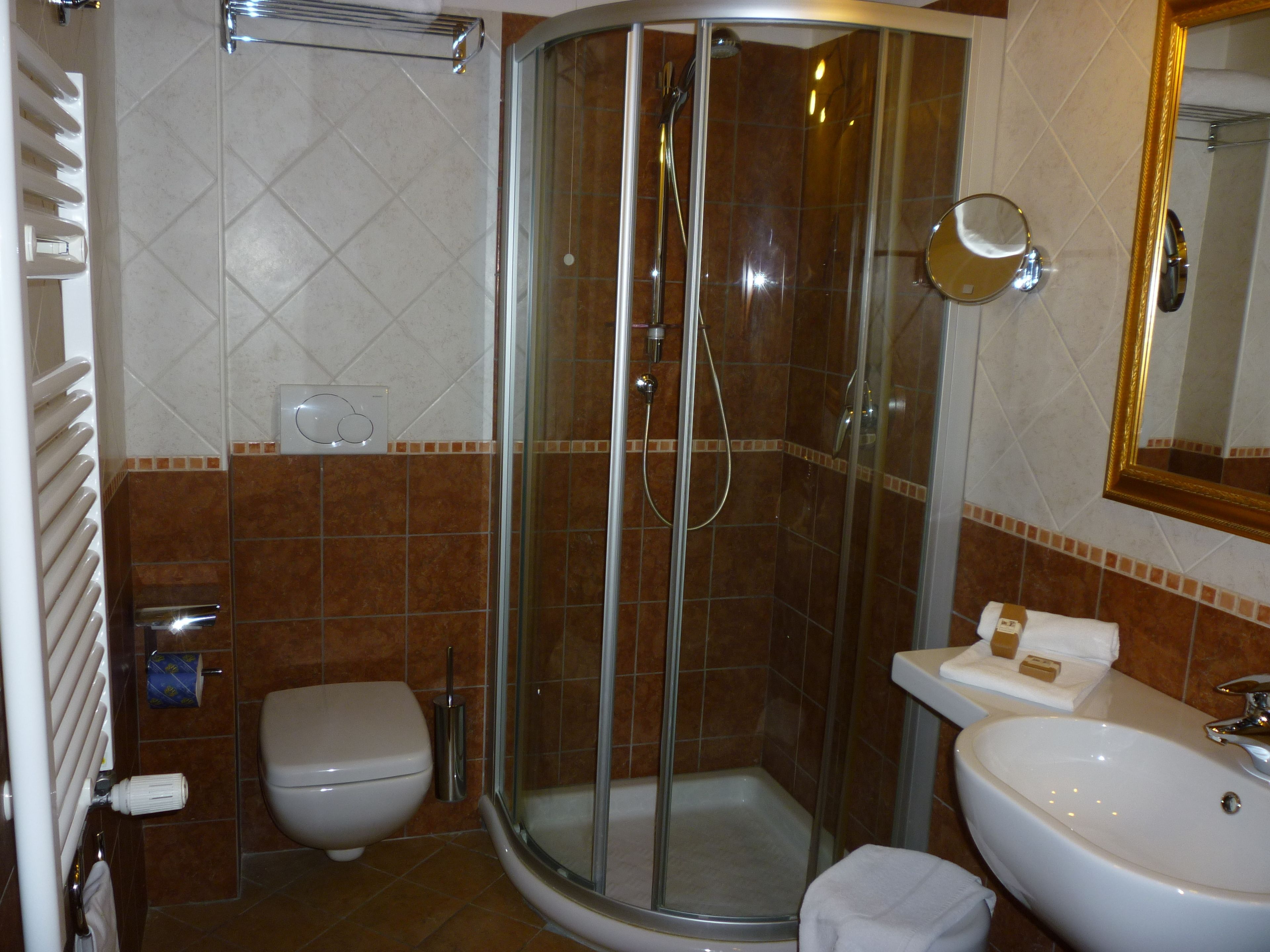 shower, free toiletries, hair dryer, bidet