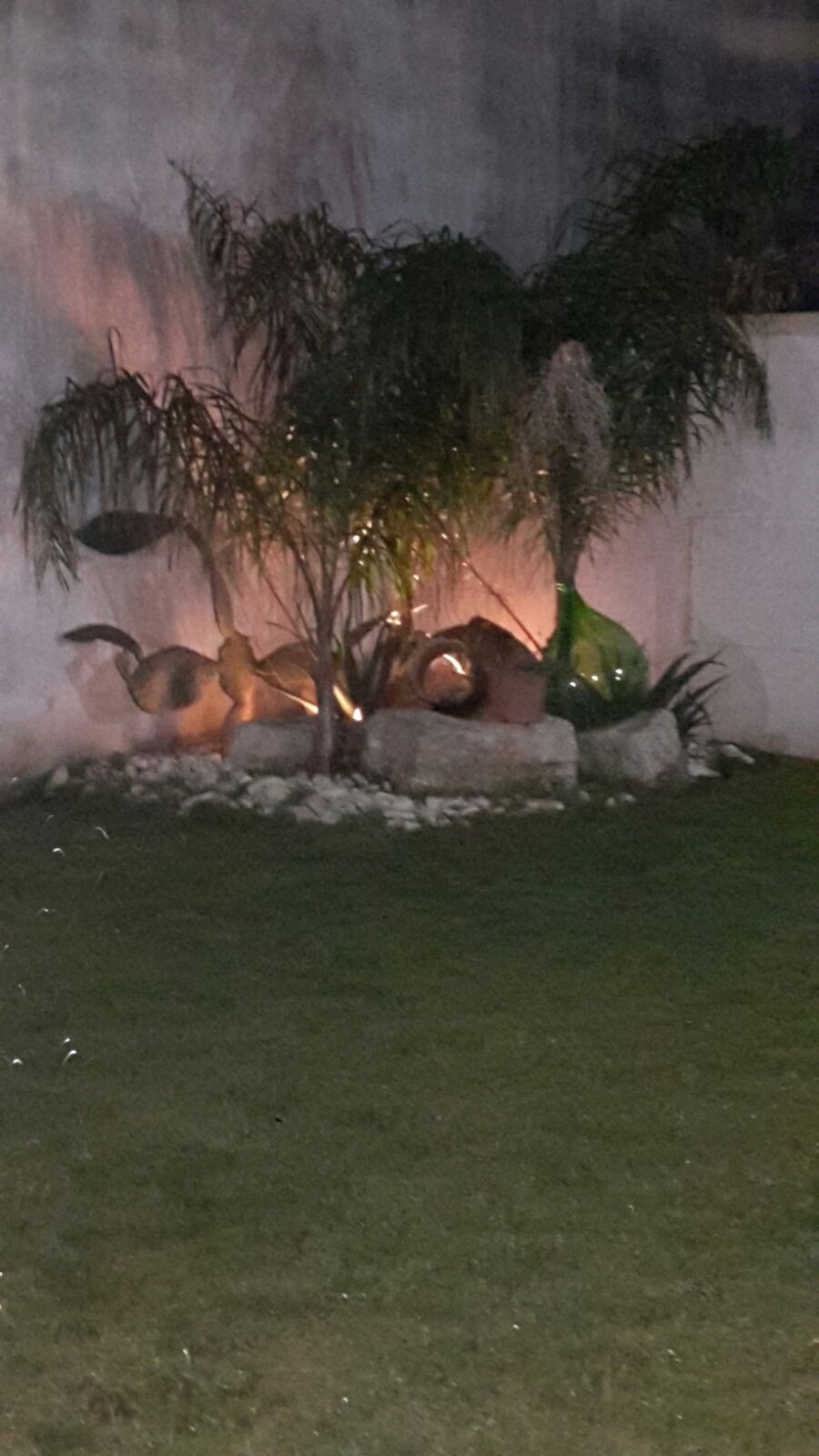 A garden with a palm tree, a green bottle, and decorative rocks.