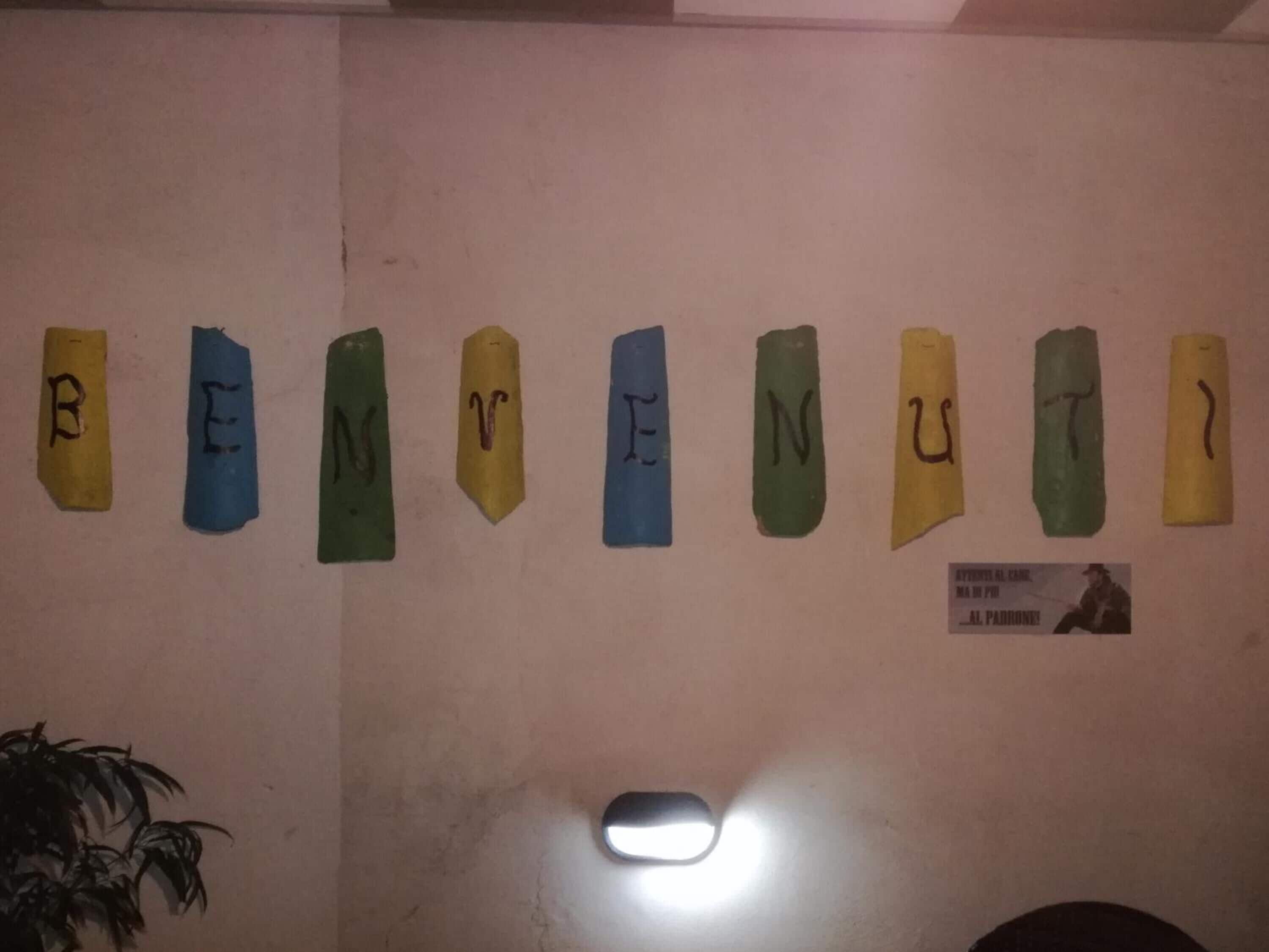 Una pared con letras sobre papel de colores, un cartel pequeño y una planta.