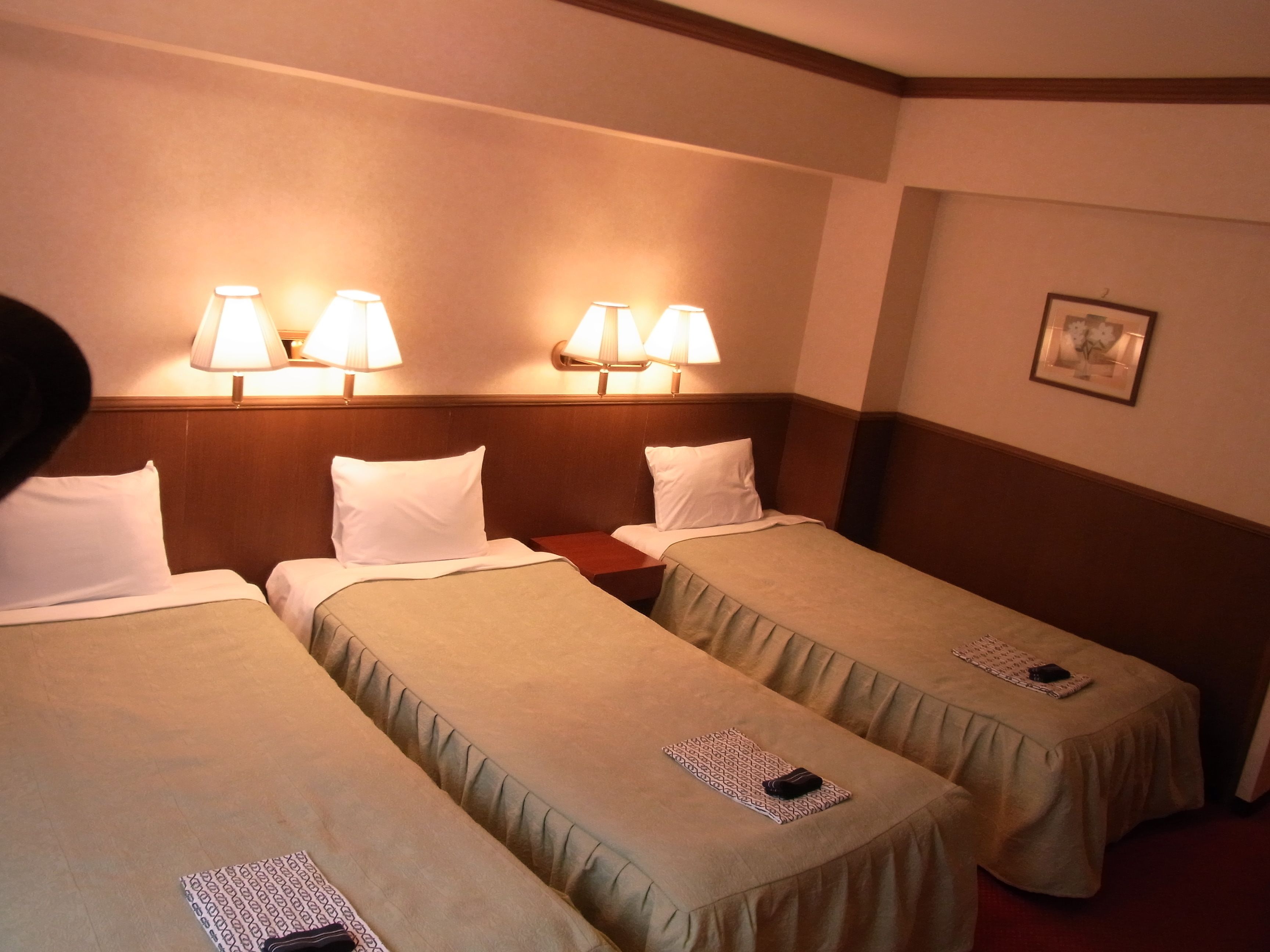 laptop workspace, blackout curtains, free wifi, bed sheets