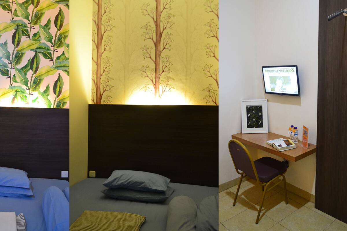 A room with a bed, a desk, and a TV.