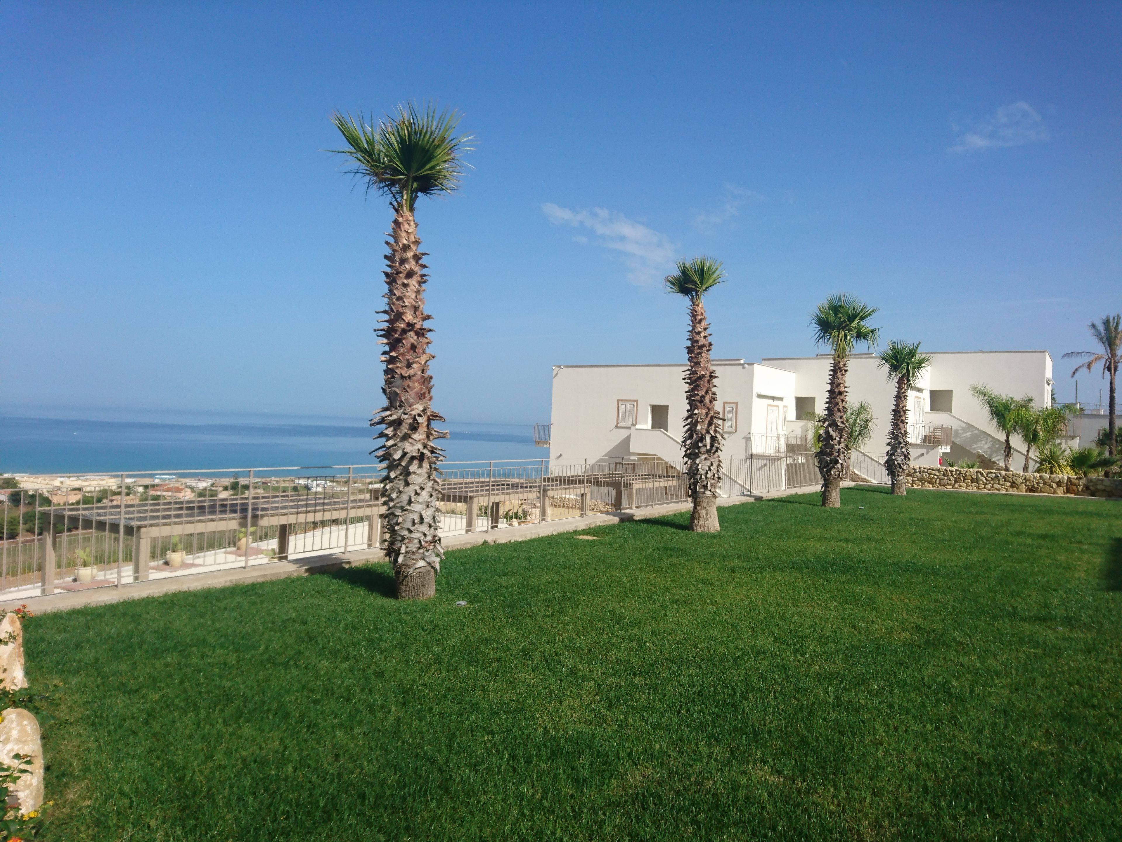 A grassy area with palm trees and a building with a view of the sea.