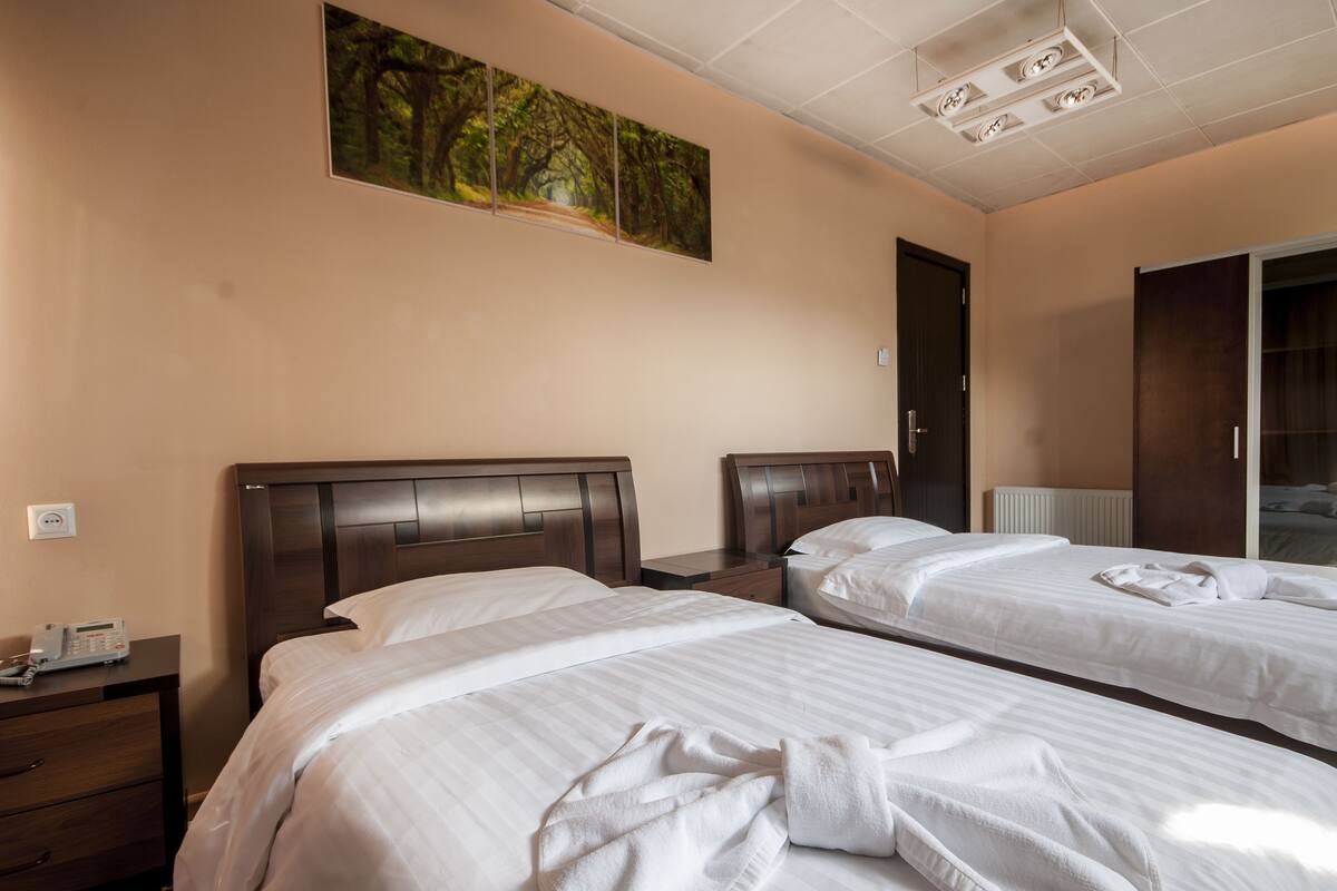A hotel room with two beds, a painting on the wall, and a view of the outside.