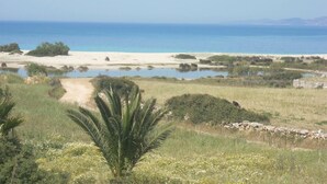 A coastal landscape with a sandy beach, a clear blue sea, and a palm tree in the foreground. - Aeraki Studios & Apartments (Naxos)