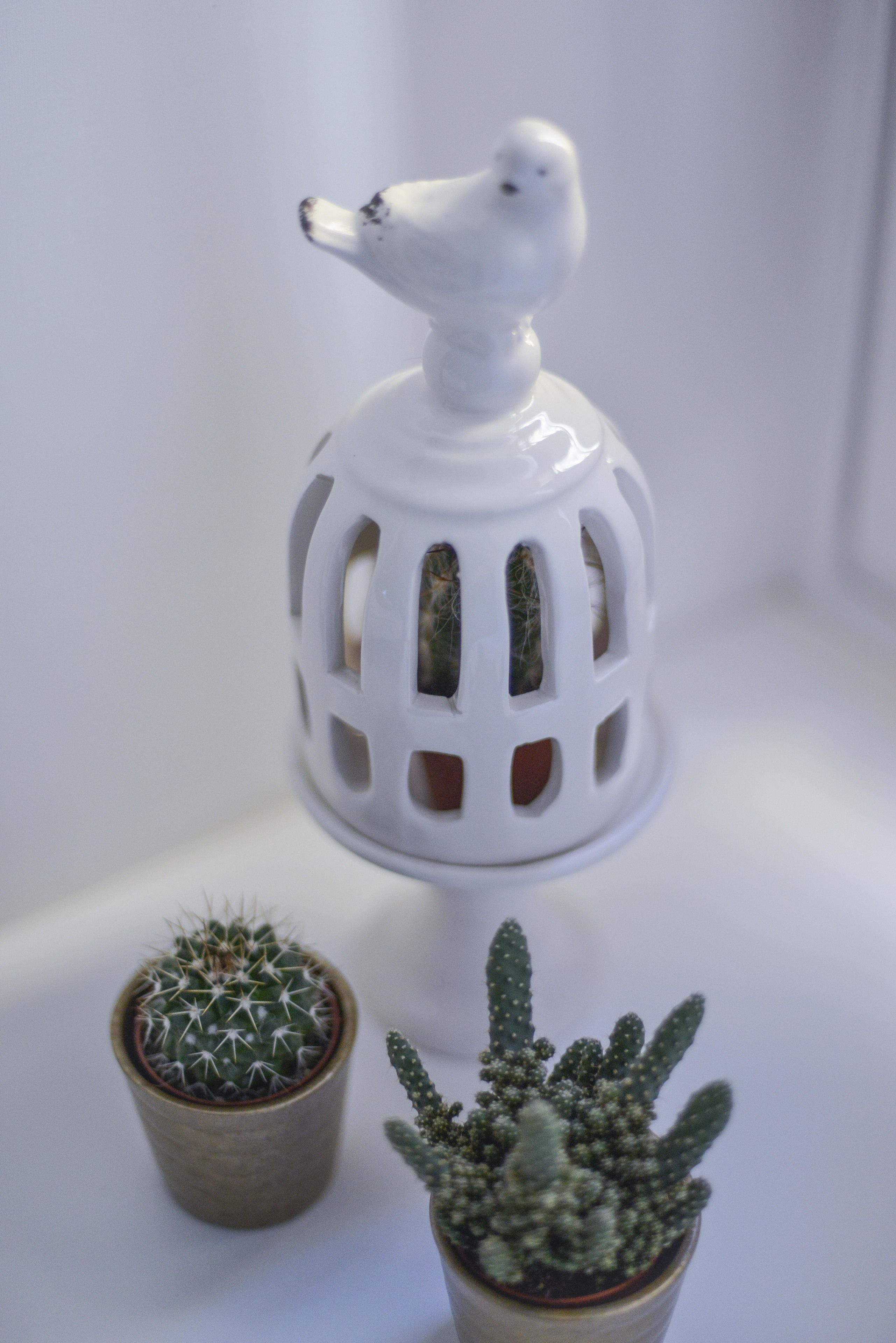 Photo - Adelina Guesthouse