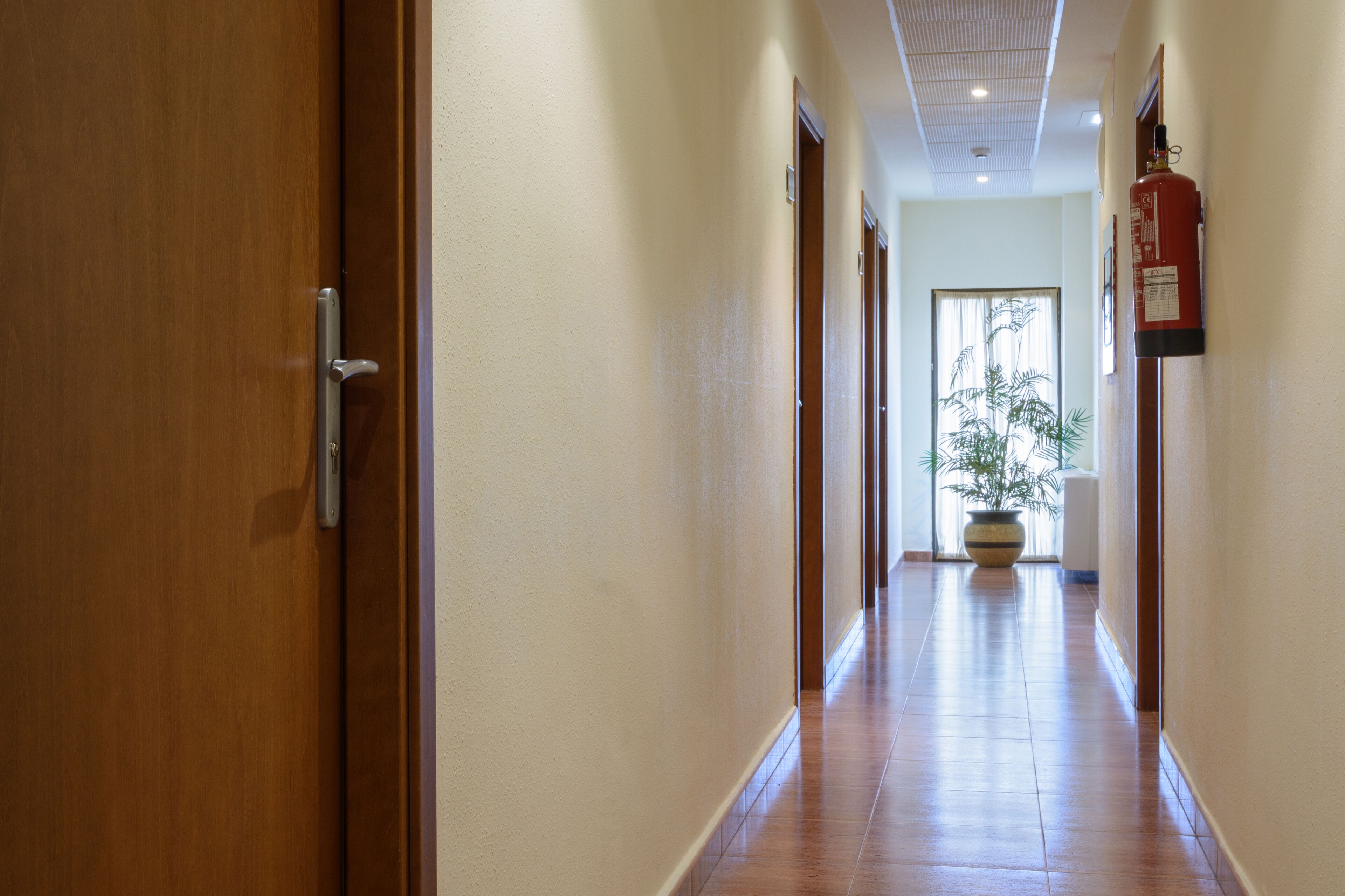 Una televisión de pantalla plana