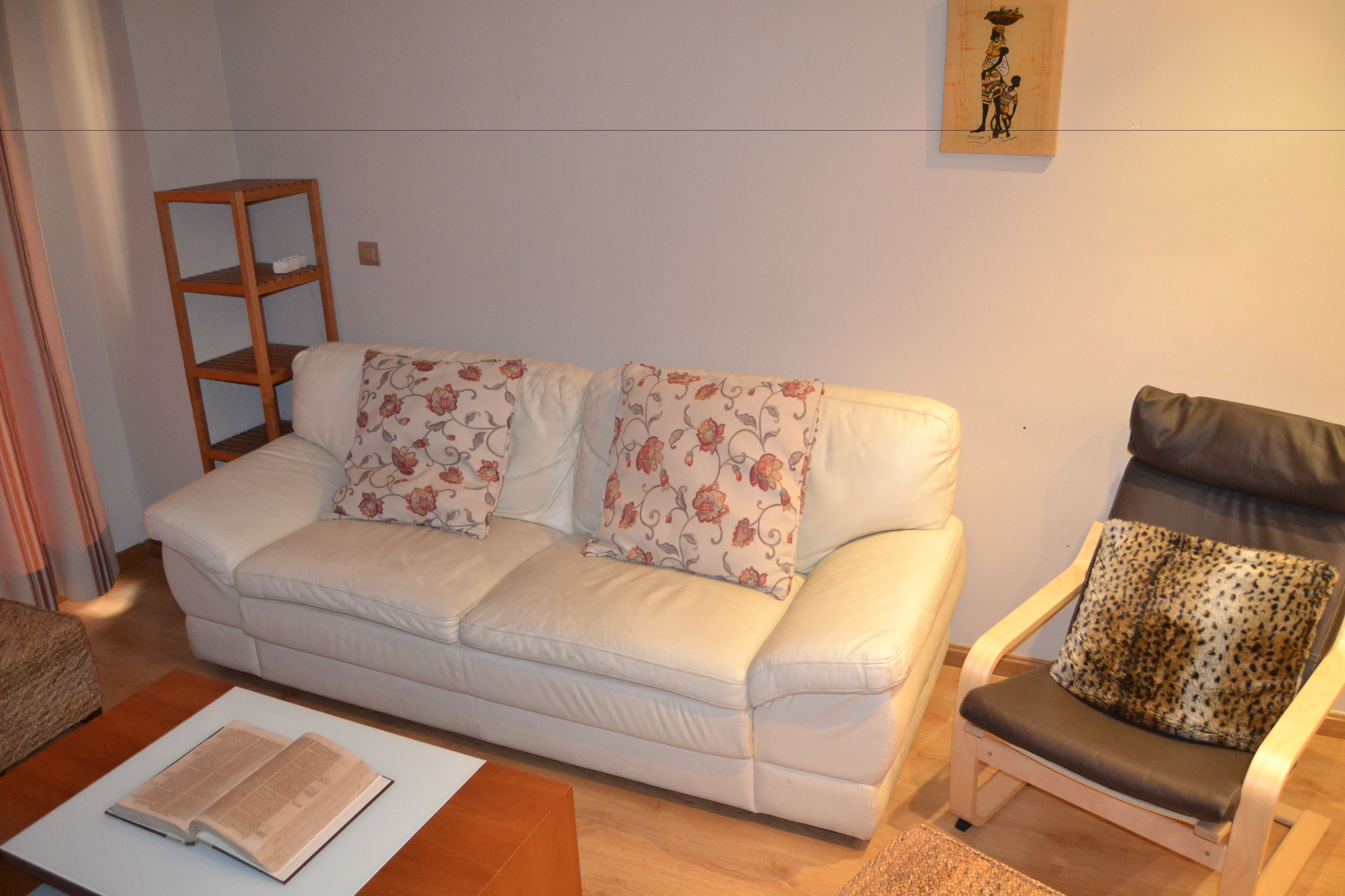 Living room | 40-inch plasma TV with digital channels, TV