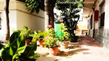 Jardín