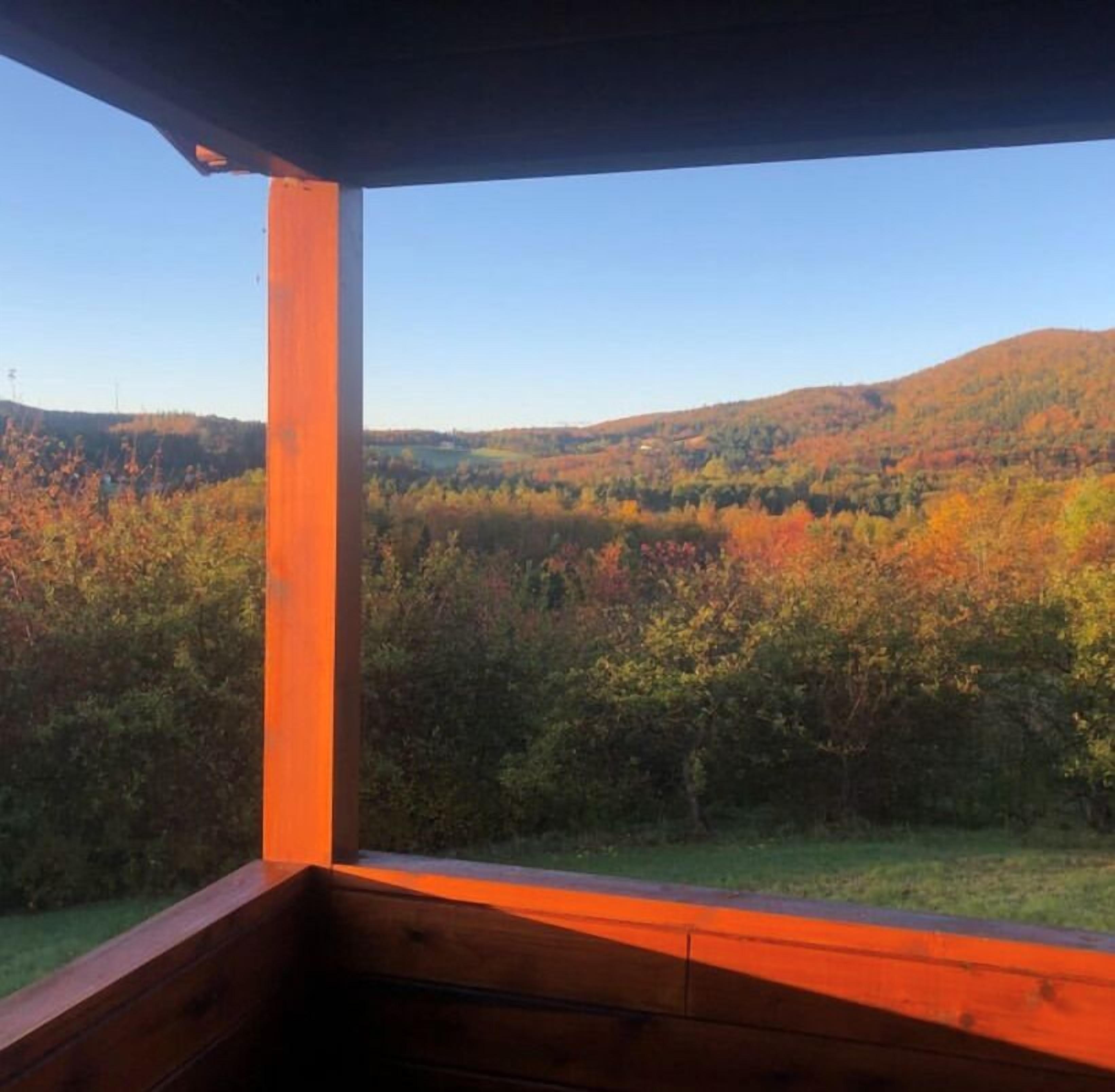 Un pontile in legno con vista su un pendio boscoso.