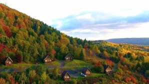 Un grupo de cabañas en un área boscosa con un paisaje montañoso al fondo.
