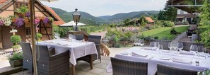 Terrace/patio - Hotel Der Schafhof Amorbach (Amorbach)