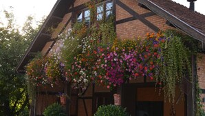 A traditional building with a sloped roof, wooden beams, and a hanging flower display. - Hotel Der Schafhof Amorbach (Amorbach)
