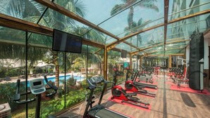 A gym with exercise equipment, a television, and a view of a pool and palm trees. - Olympic Palace (Brazzaville)