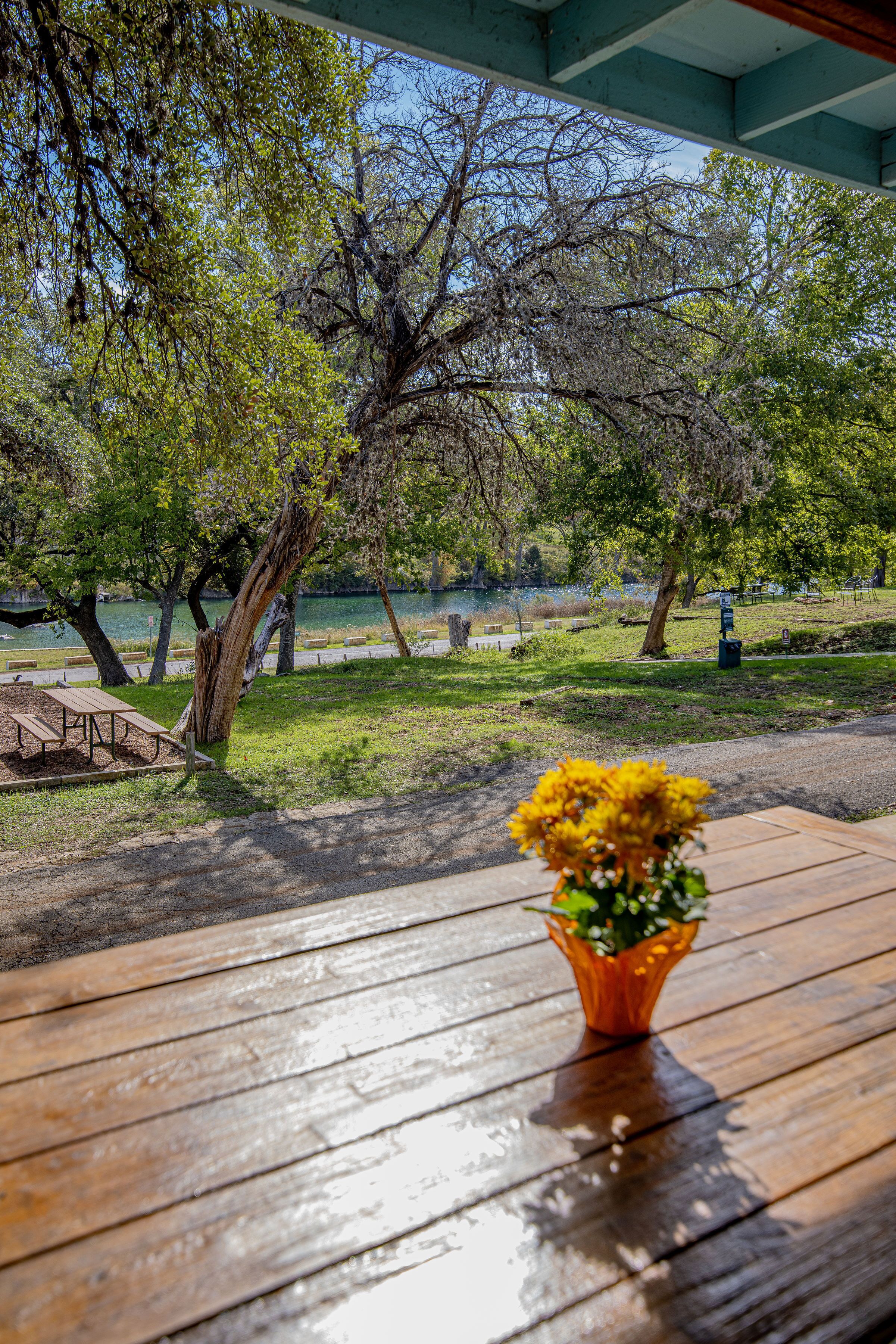 A wooden table with a vase of yellow flowers, a bench, and a view of a lake with trees in a park.