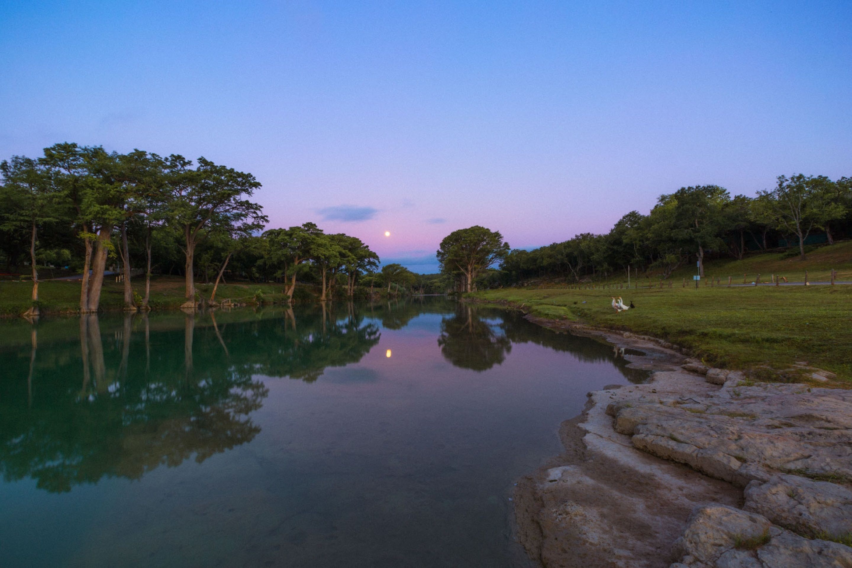 A tranquil riverside scene with calm water reflecting trees and a clear sky.