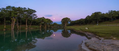 A tranquil riverside scene with calm water reflecting trees and a clear sky.