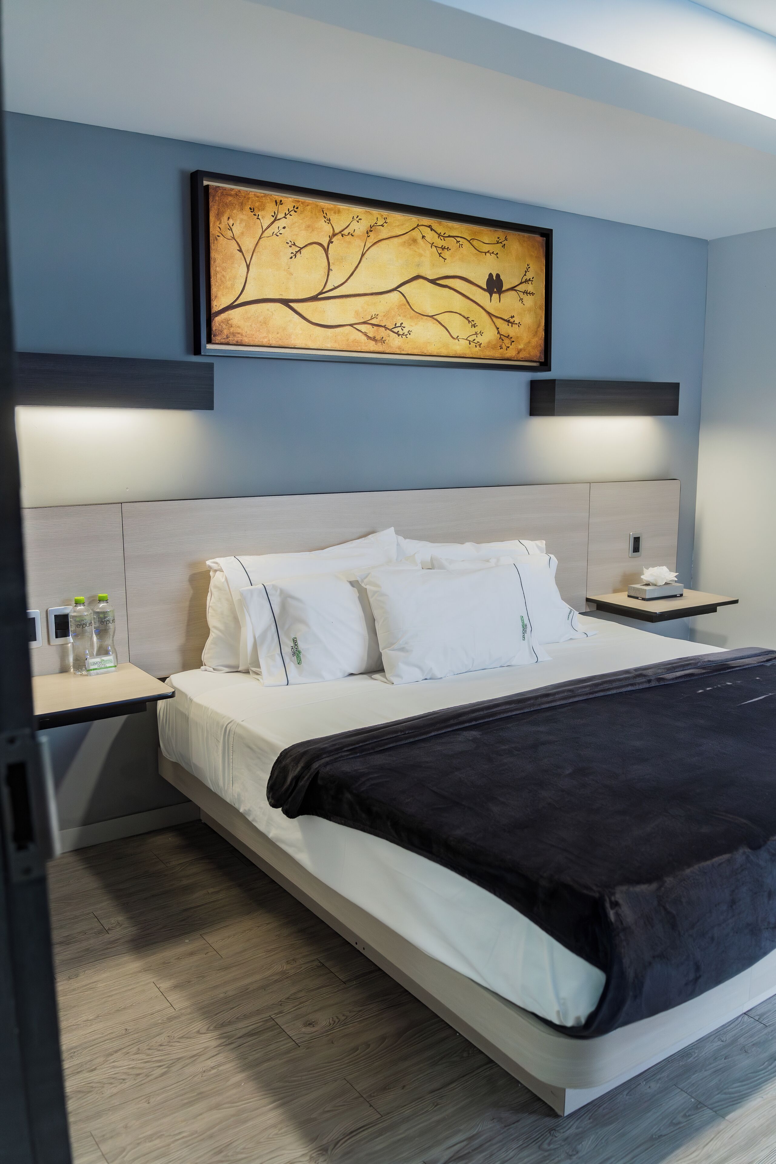 standard room | desk, blackout curtains, free wifi, bed sheets