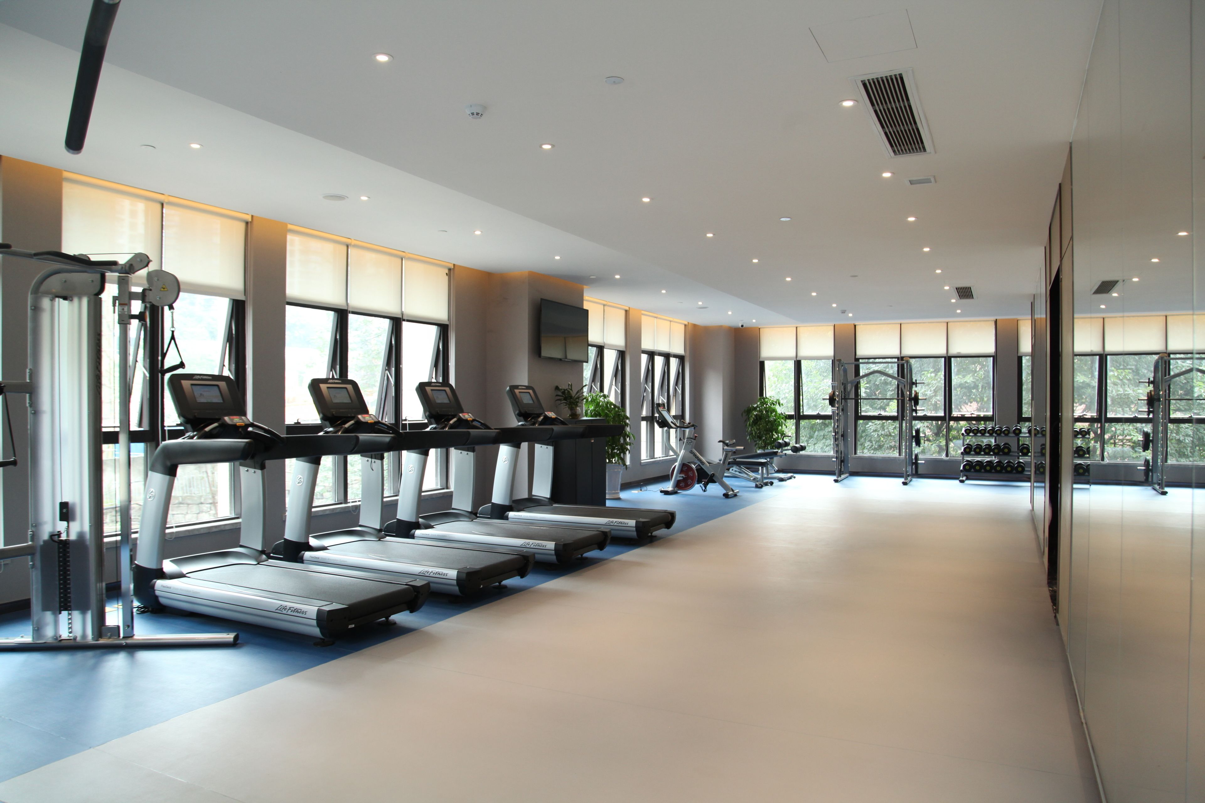 Une salle de sport moderne équipée de tapis de course, d’appareils de musculation et d’haltères.