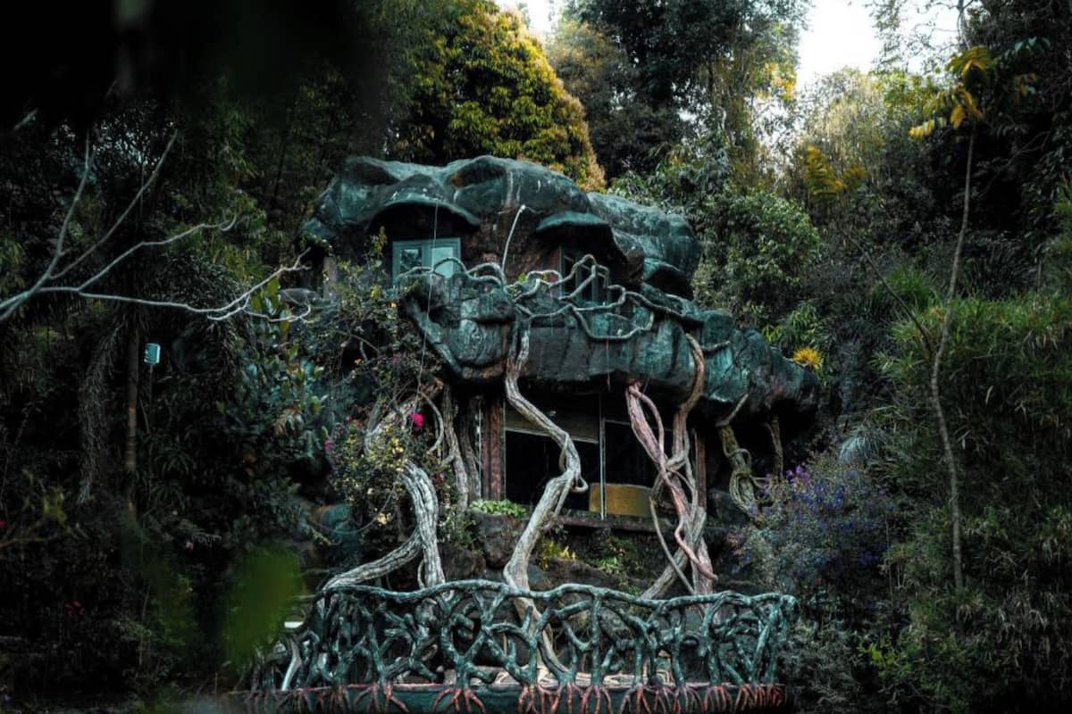 A treehouse with a rustic, natural design, surrounded by dense foliage.