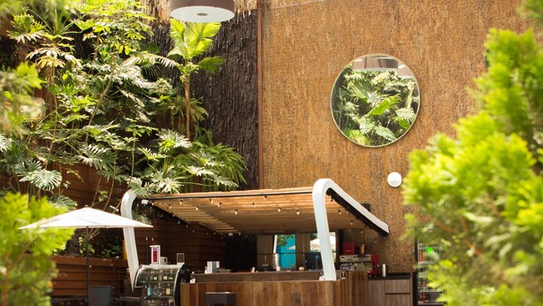 An indoor swimming pool with a wooden deck area, surrounded by lush greenery and a rustic wall.