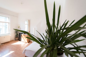 Apartamento urbano, 1 cama de casal, cozinha | 1 quarto, escrivaninha, ferros/tábuas de passar roupa, Wi-Fi de cortesia
