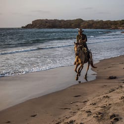 Équitation